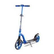 ������� LUX Quantum 2019, ���� �����